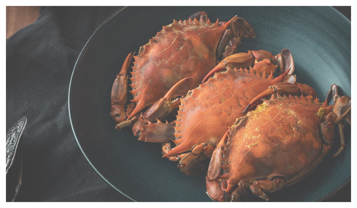 螃蟹的飲食禁忌