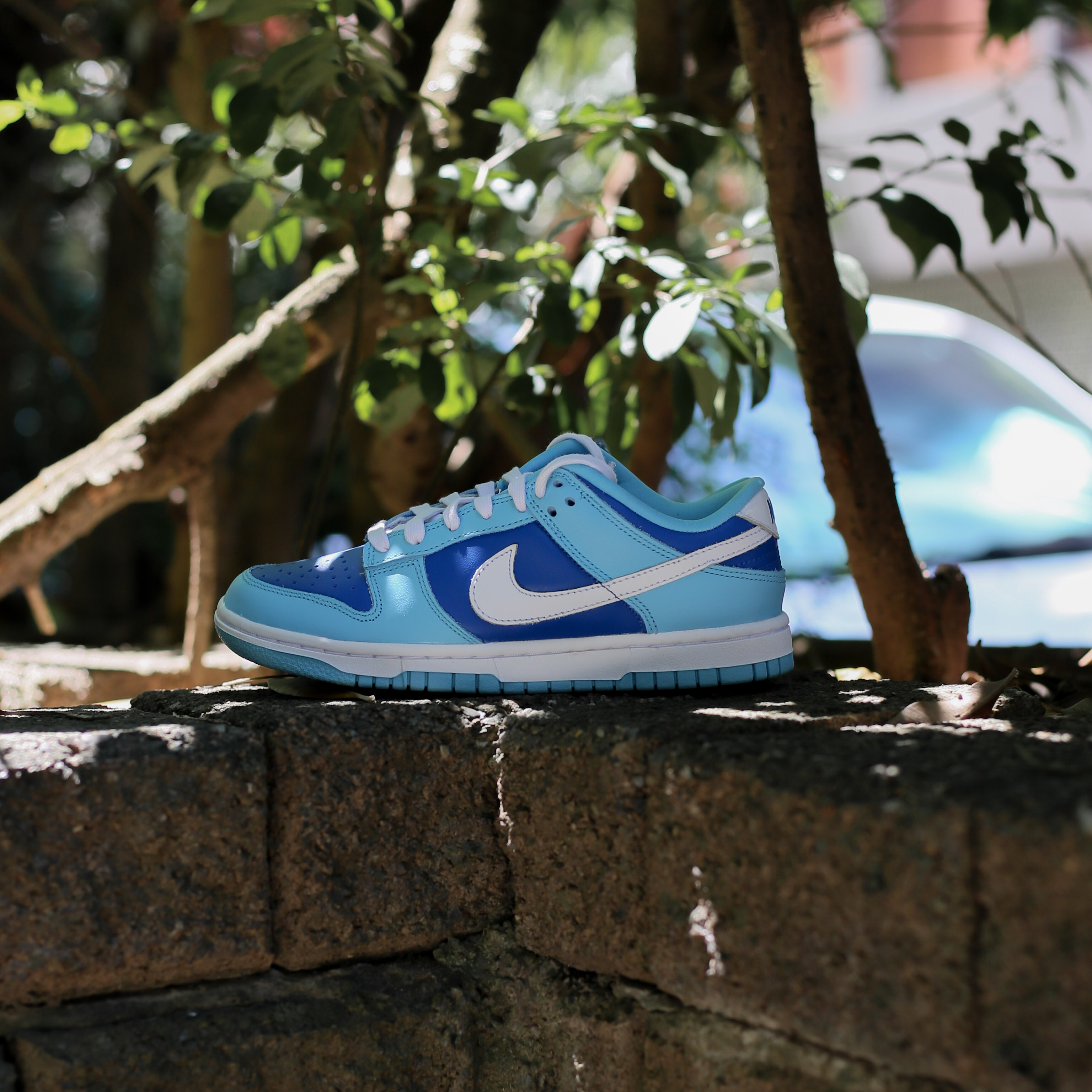 001 CO.JP 日本限定回歸復刻NIKE DUNK LOW QS ARGON 白藍天空藍低筒休閒鞋