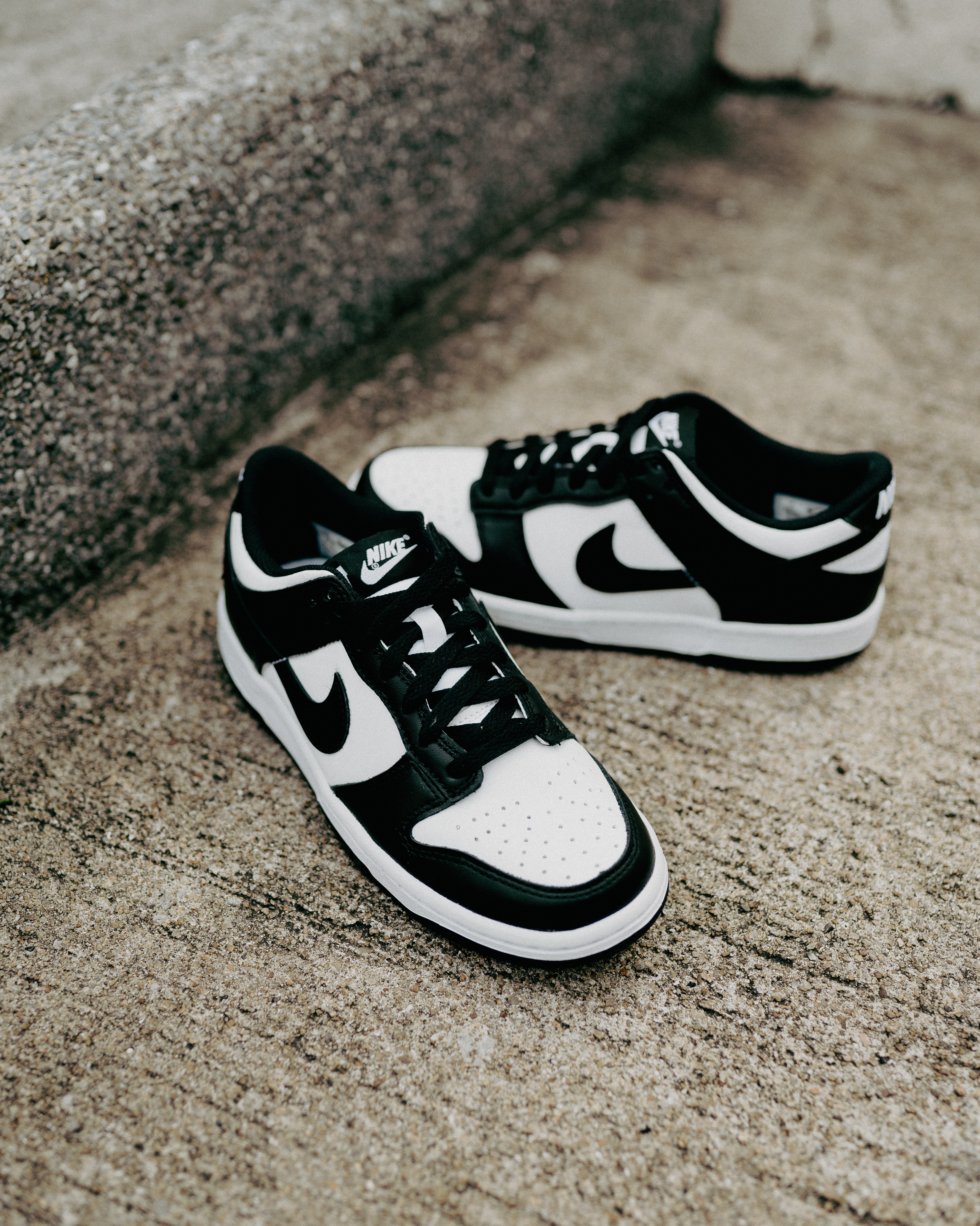 [現貨] Nike Dunk Low GS Panda CW1590-100