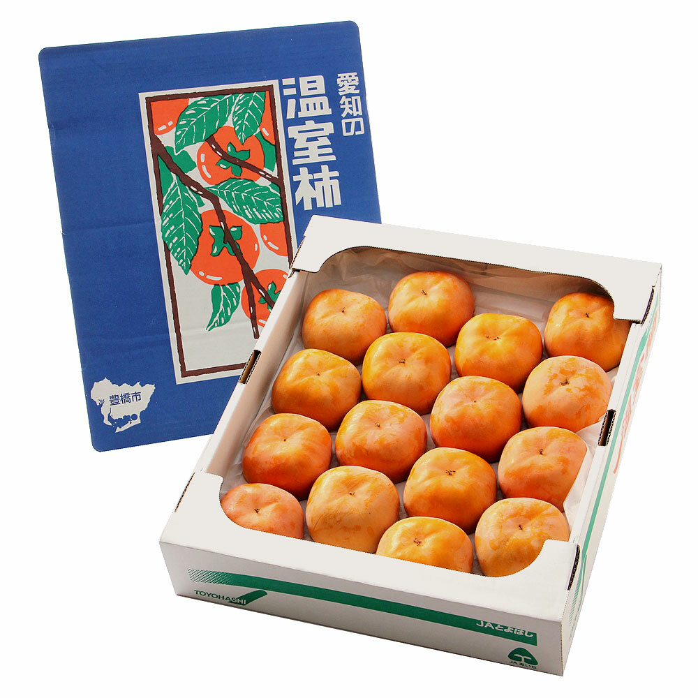 愛知 次郎柿 4KG 12玉 【3天予約】
