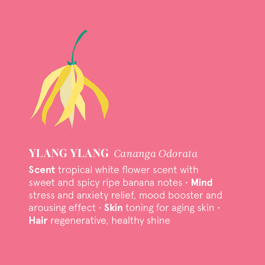 花草引力伊蘭精油功效