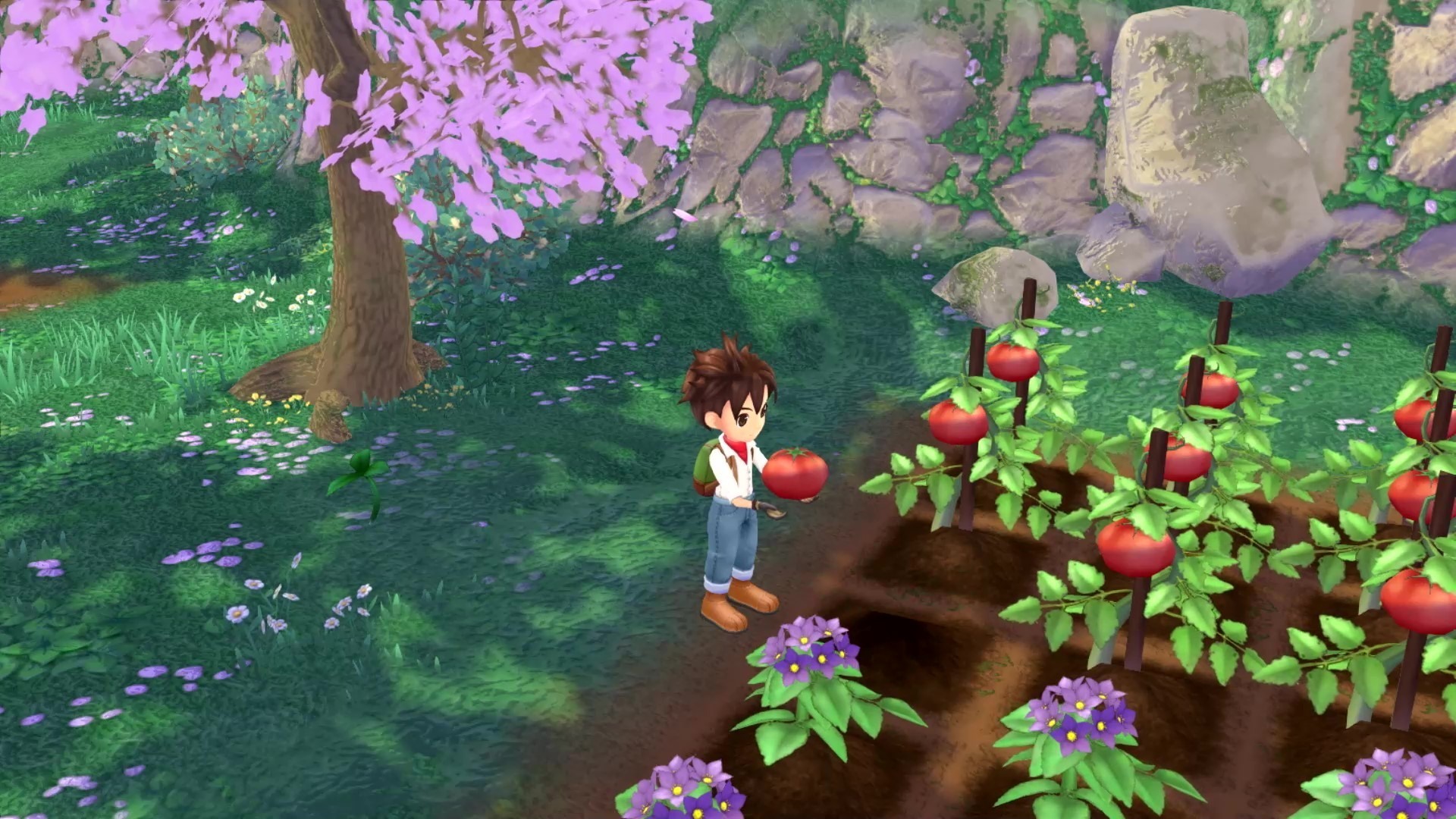 NS 牧場物語 Welcome！美麗人生 中文版