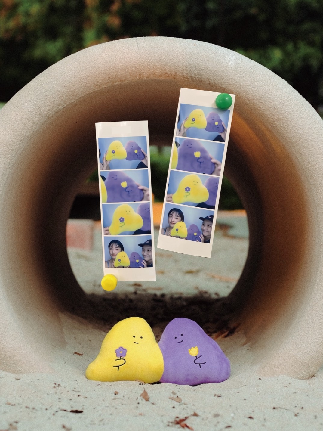 逝去的過往就別再回頭望