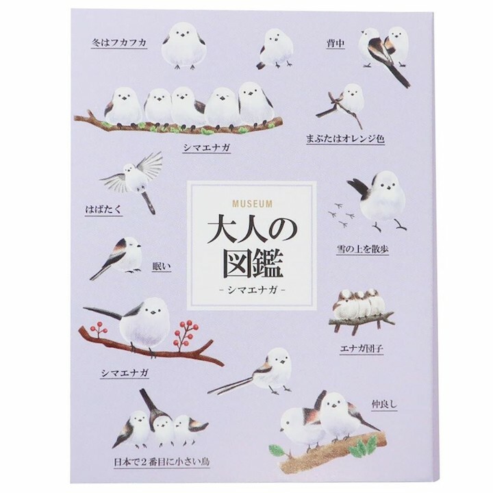長尾山雀 大人的圖鑑 書型便利貼 memo｜日本Kamio