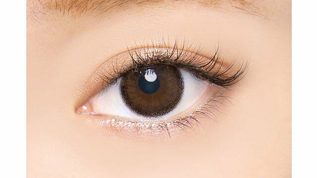 [NEW] AngelColor Bambi Series 1 Day Natural Pure Brown 每日拋棄型有色彩妝隱形眼鏡｜每盒20片