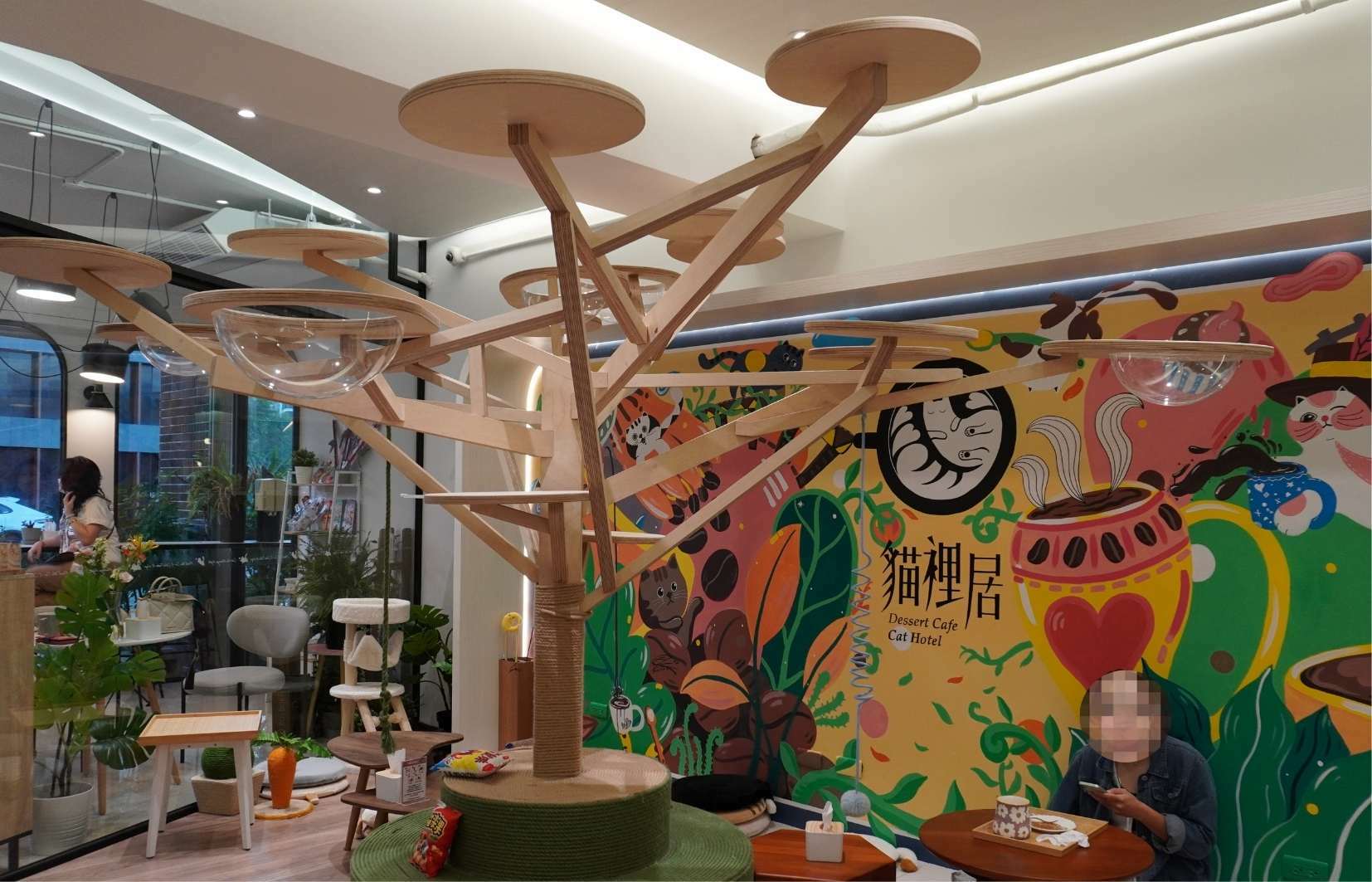 林口的貓裡居中間的超大貓跳台