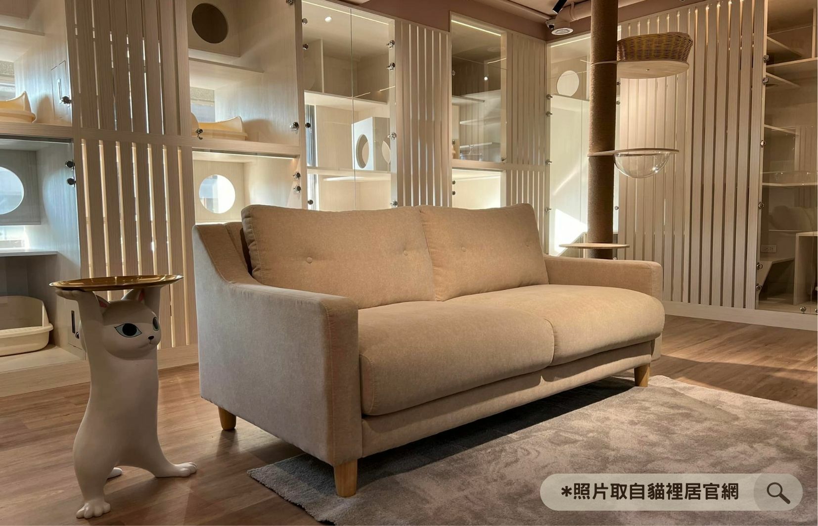 林口的貓裡居的貓咪咖啡廳,二樓是貓咪旅館