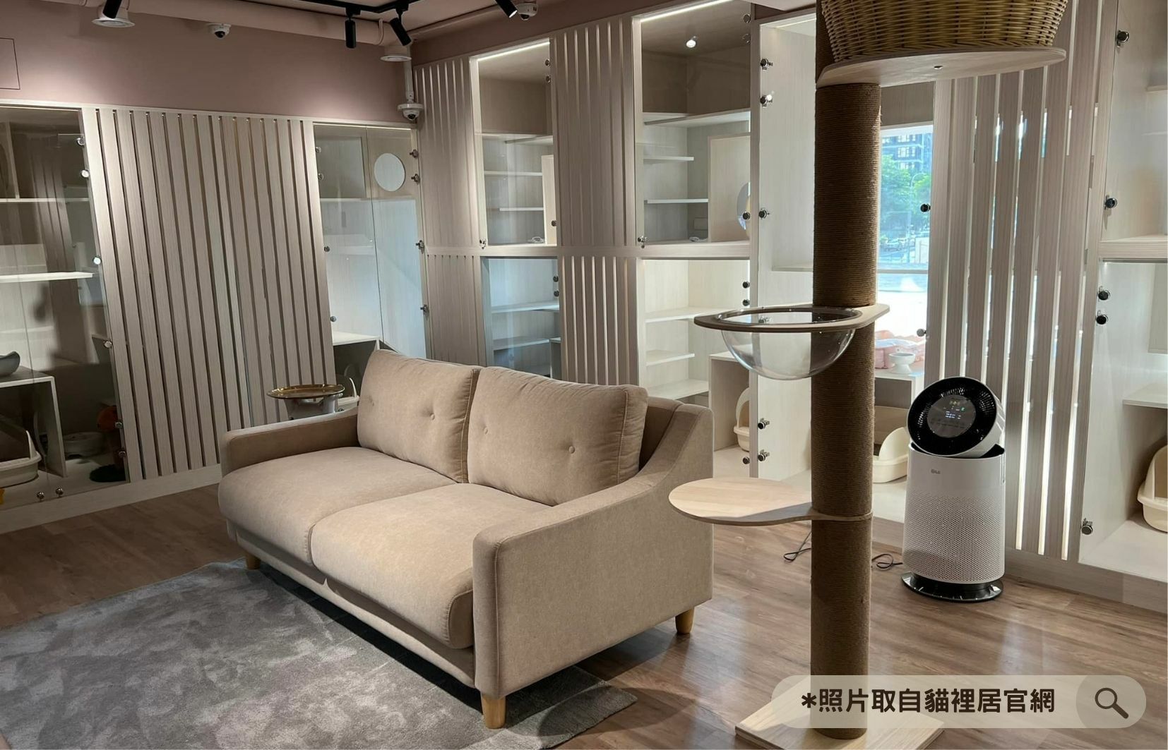 林口的貓裡居的貓咪咖啡廳,二樓是貓咪旅館