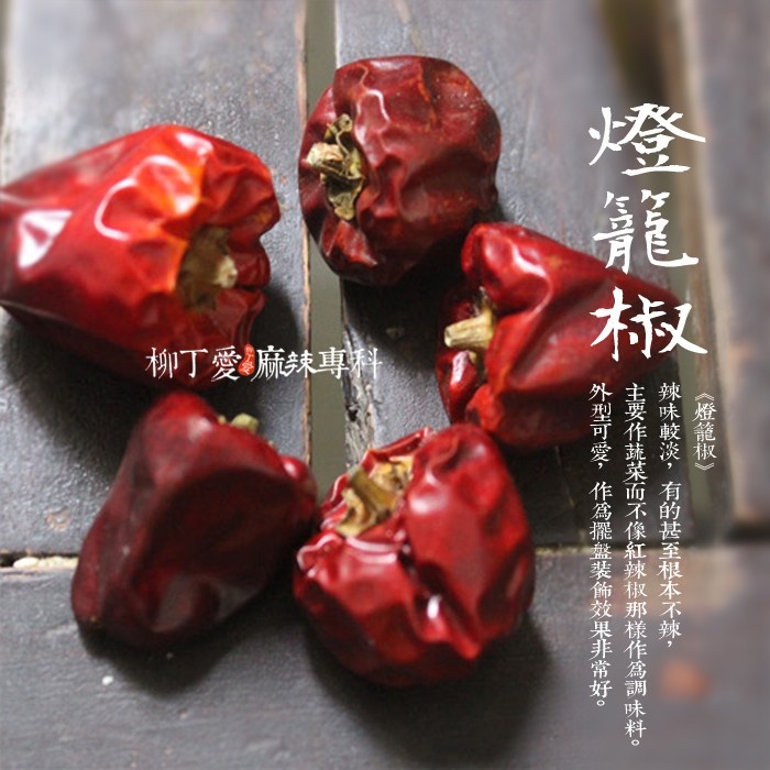 柳丁愛 四川燈籠椒100g川式料理必備 裝飾 香氣足但不辣【A140】乾貨