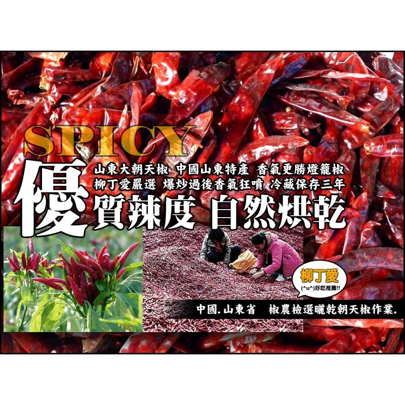 山東大辣椒乾段100克【A243】