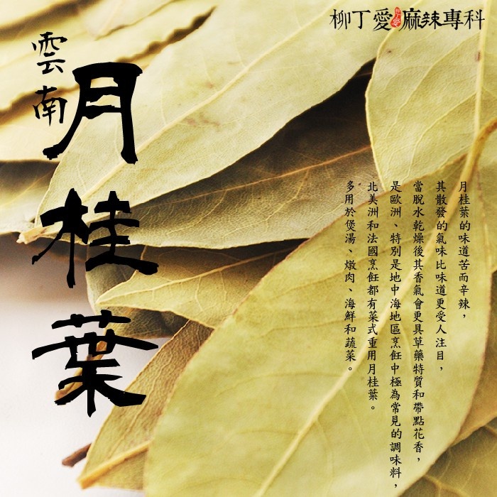 柳丁愛 雲南月桂葉50G【A093】乾貨 八角 山奈 沙薑 砂仁 川砂仁 月桂葉 香葉 小茴香 大茴香 荳蔻 草荳蔻 草果 當歸 香茅 丁香 多香果 甘草