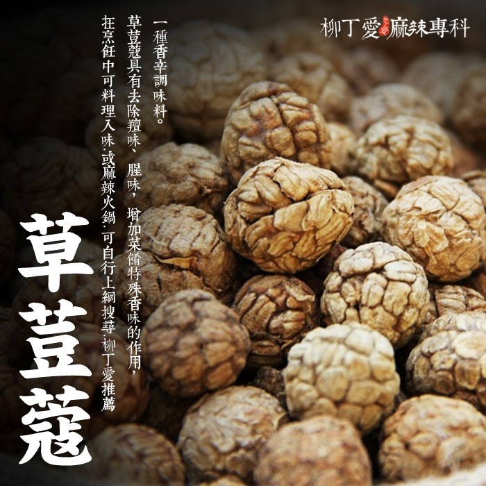 草荳蔻100G【A155】