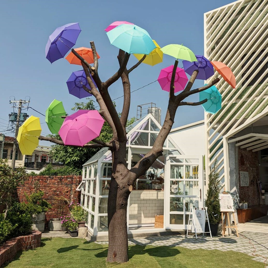 卡里善之樹 二代目