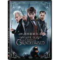 怪獸與葛林戴華德之罪 (DVD)