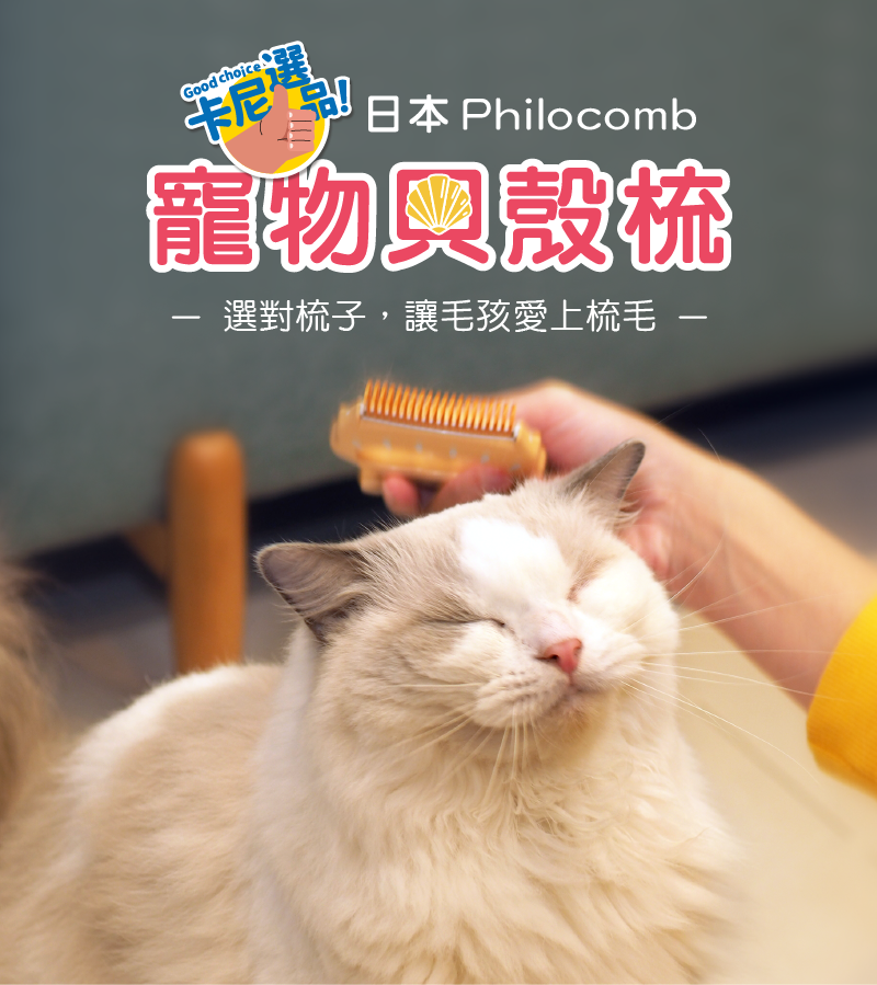 日本Philocomb貝殼梳、貓咪正在梳毛