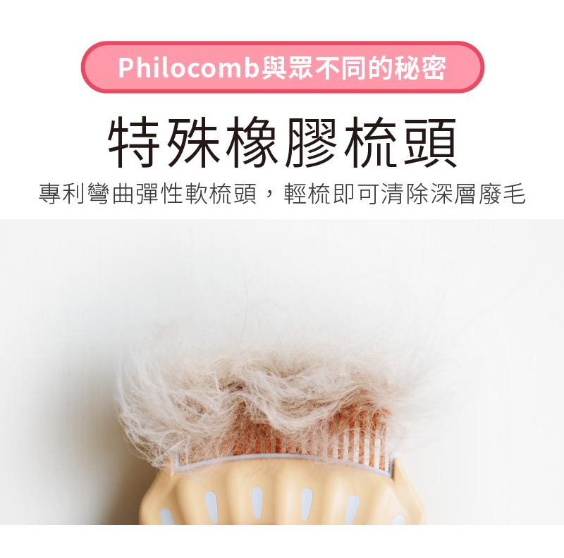Philocomb貝殼梳特殊的橡膠梳頭