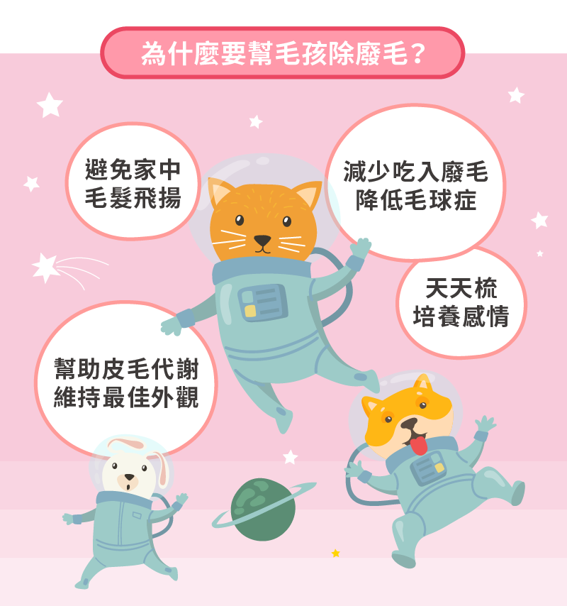 為什麼要除廢毛 1.減少家中毛髮飛揚 2.減少吃入廢毛降低毛球症 3.維持最佳外觀 4.培養人寵感情