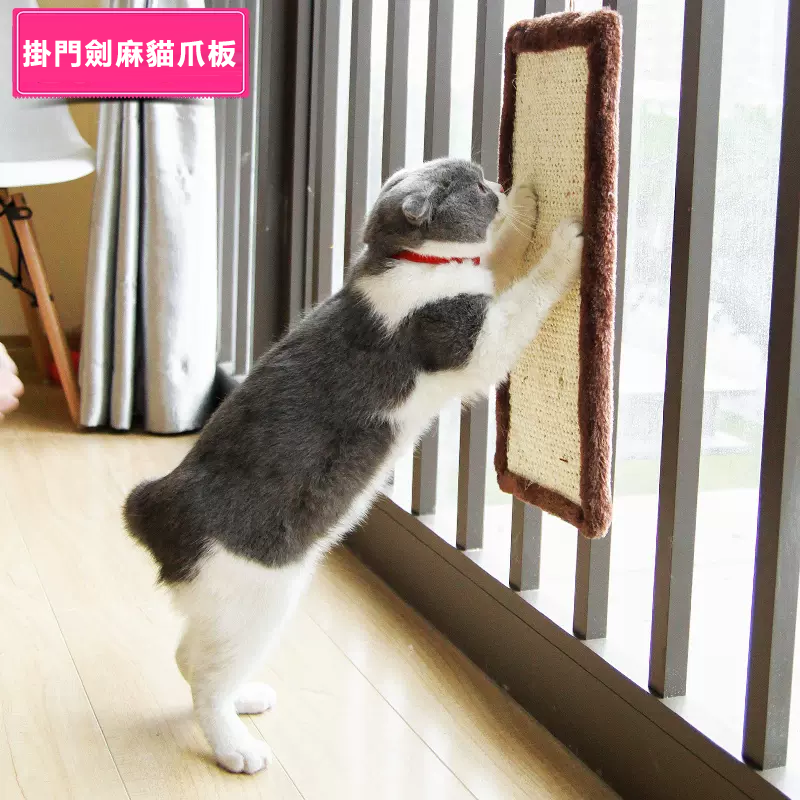 Billipets - 手提 掛牆 貓抓板 耐抓耐咬 貓咪磨爪 劍麻貓爪墊 長方形