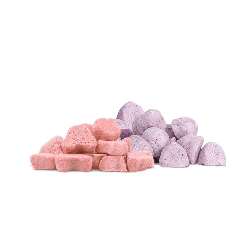 Dr. Bunny 博衛健 益生健腸小點 (草莓味 + 藍莓味) - 10g