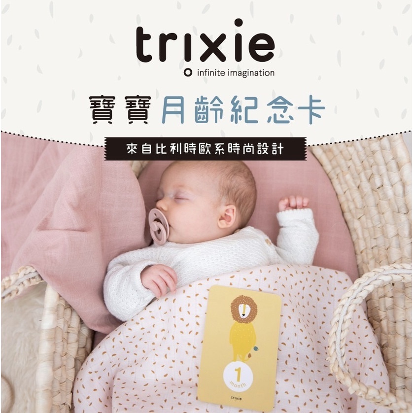 【樂森藥局】Trixie 比利時 寶寶月齡紀念卡 拍照卡片 照相 月份