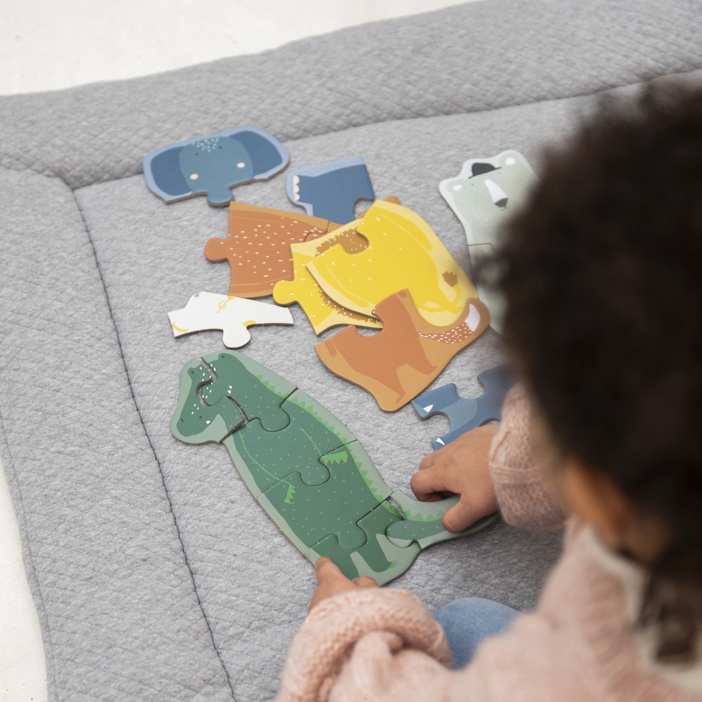 【樂森藥局】Trixie 比利時 厚紙桌遊 初階拼圖 桌遊 玩具 遊戲