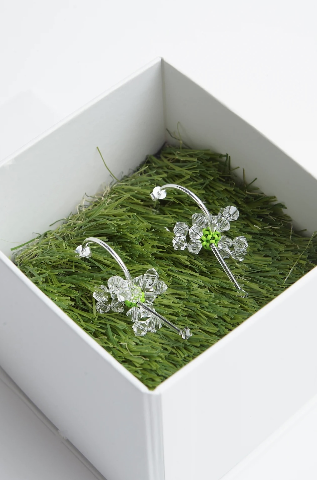 FREESIA x HYBRIDA - Loops