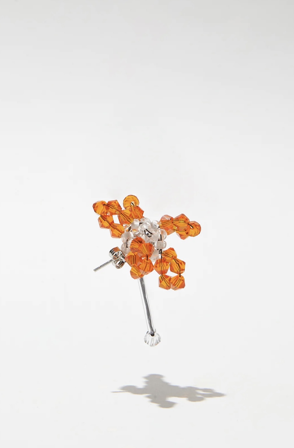 ZINNIA x ELEGANS - Pair