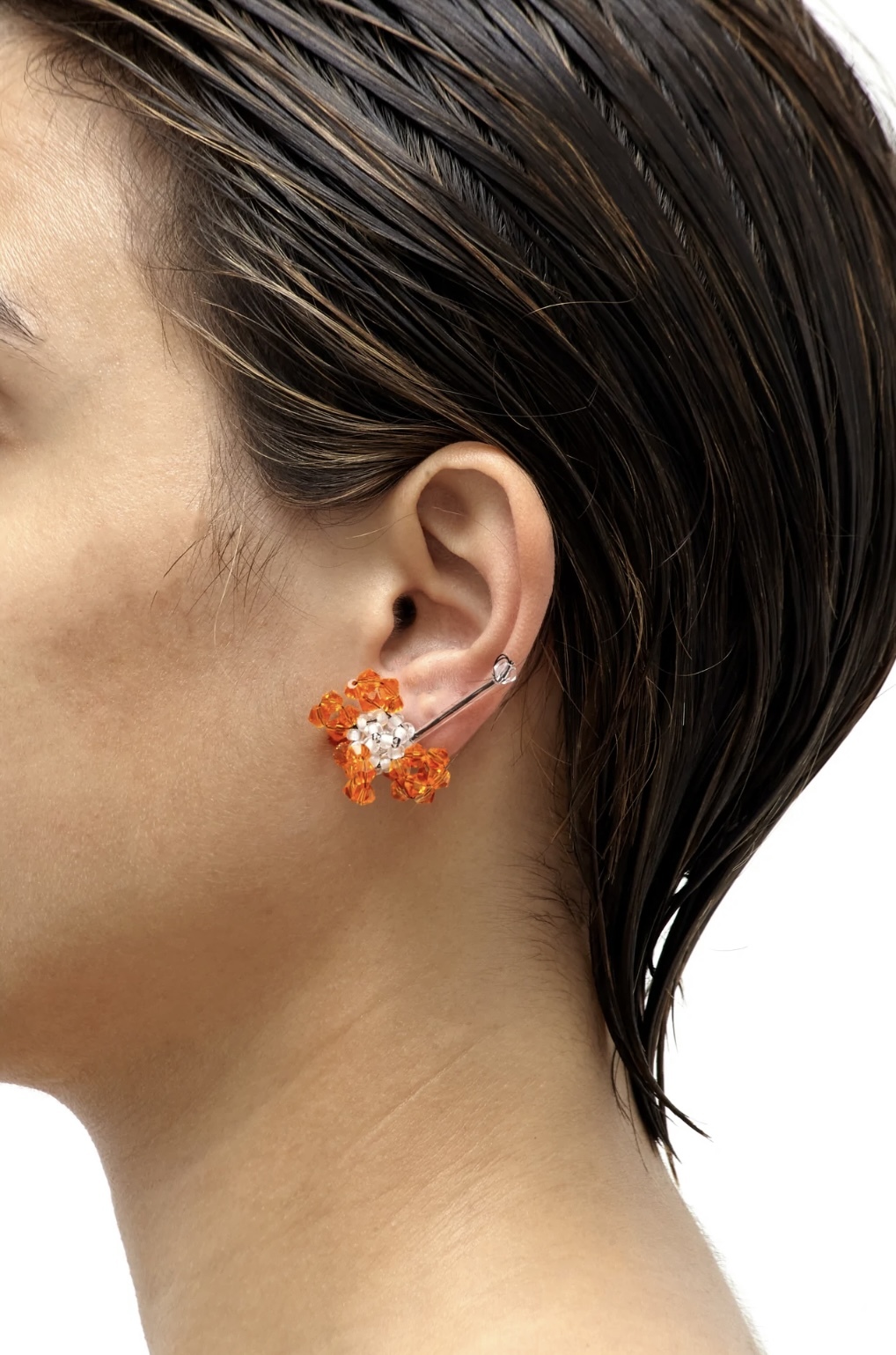 ZINNIA x ELEGANS - Pair