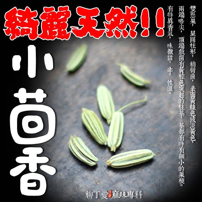 小茴香100g【A165】