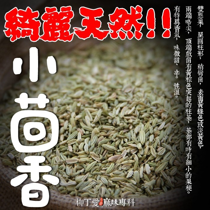 柳丁愛 小茴香100g【A165】乾貨 八角 山奈 沙薑 砂仁 川砂仁 月桂葉 香葉 小茴香 大茴香 荳蔻 草荳蔻 草果 當歸 香茅 丁香 多香果 甘草 二荊條辣椒 剁椒 辣椒醬 花椒,大紅袍花椒 小米辣椒 泡椒 花椒粉 燈籠辣椒 辣椒 子彈頭辣椒