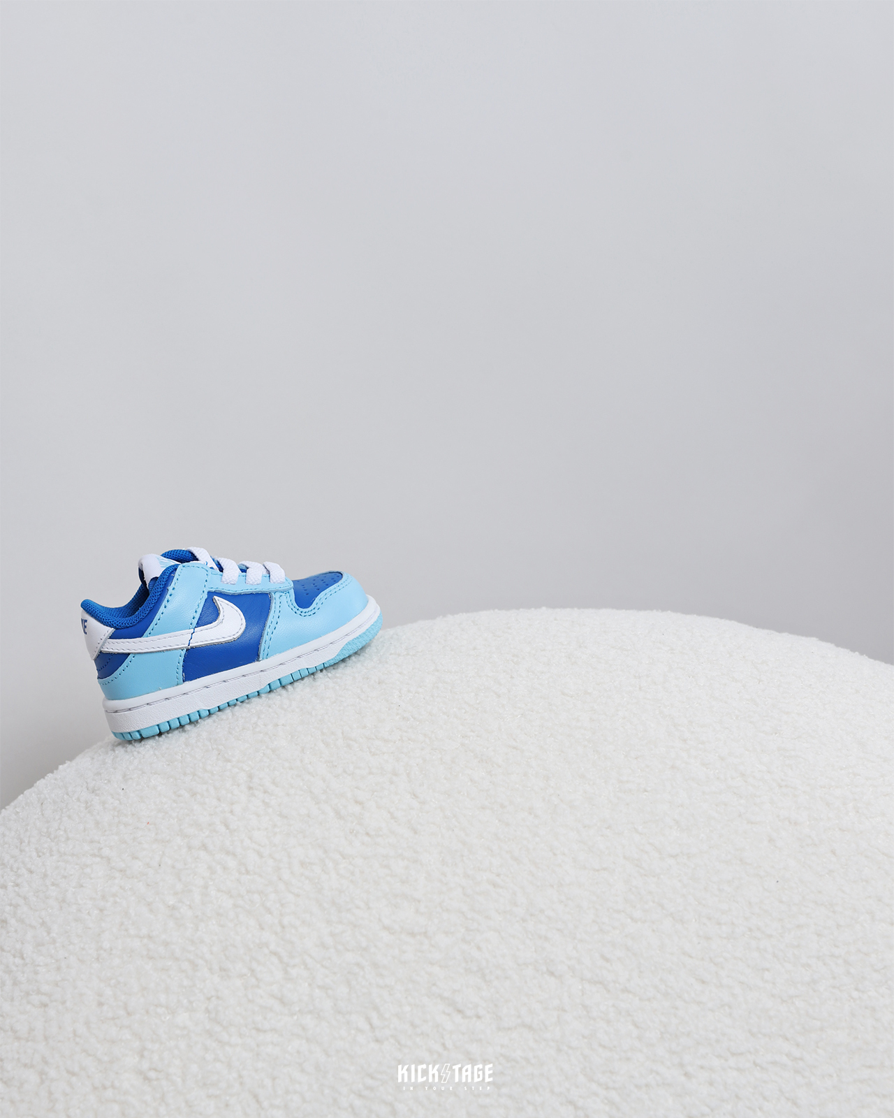 2001 CO.JP NIKE DUNK LOW QS ARGON 白藍休閒鞋【DV2635-400】