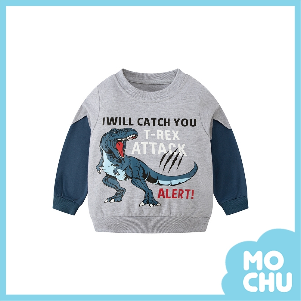 大恐龍拼色袖衛衣