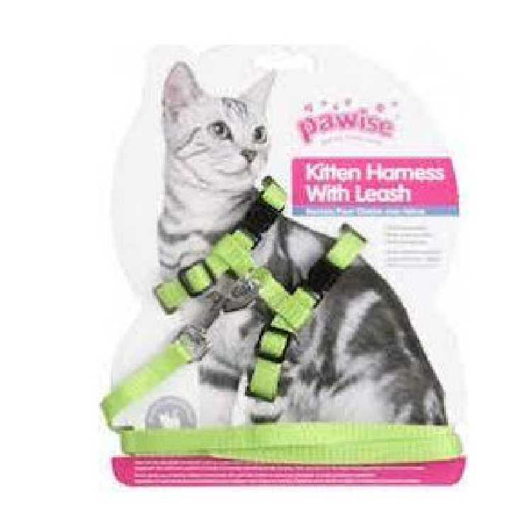 Pawise⎜幼貓胸、拖帶套裝（藍色/綠色）（No.28000)