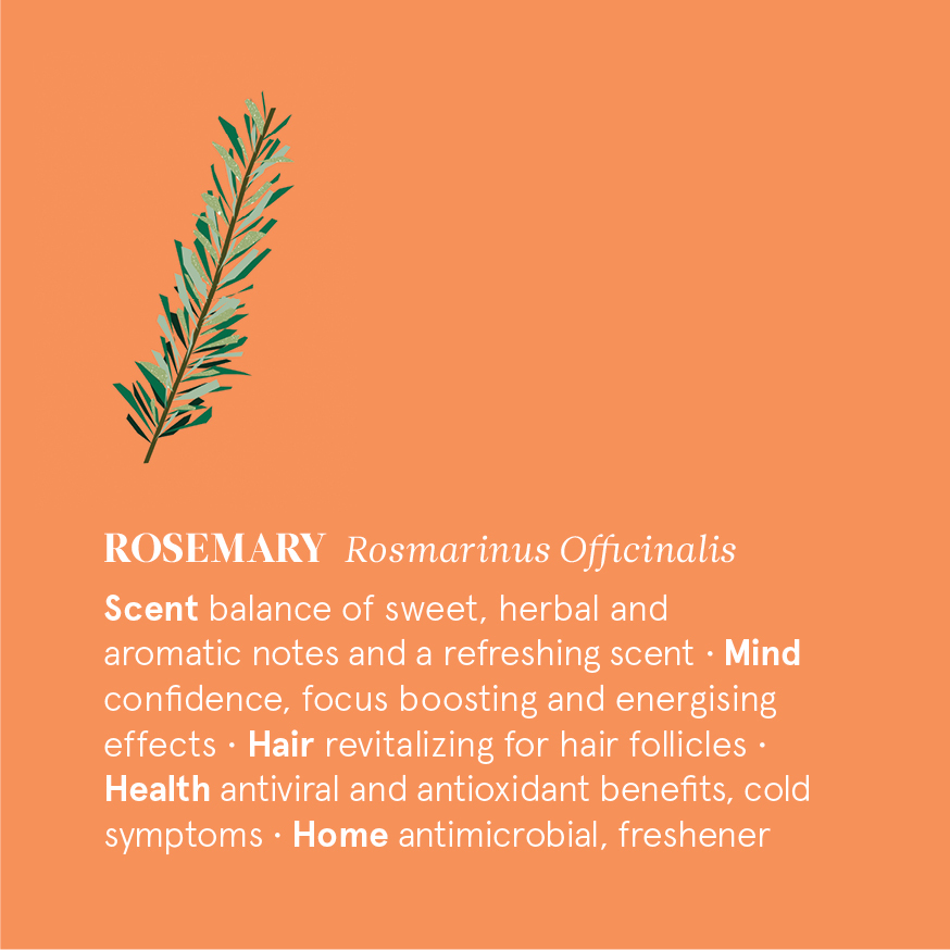 花草引力嚴選 自然之事精油 迷迭香精油功效