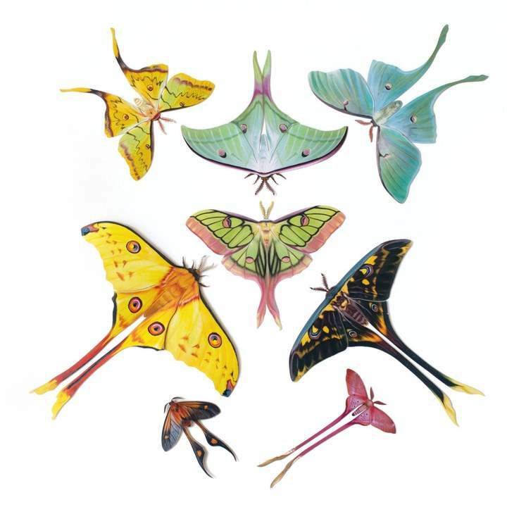 Faerie-Tails Butterfly Set 童話