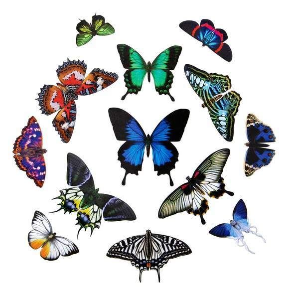 Jewels of the East Butterfly Set 東方珠寶盒