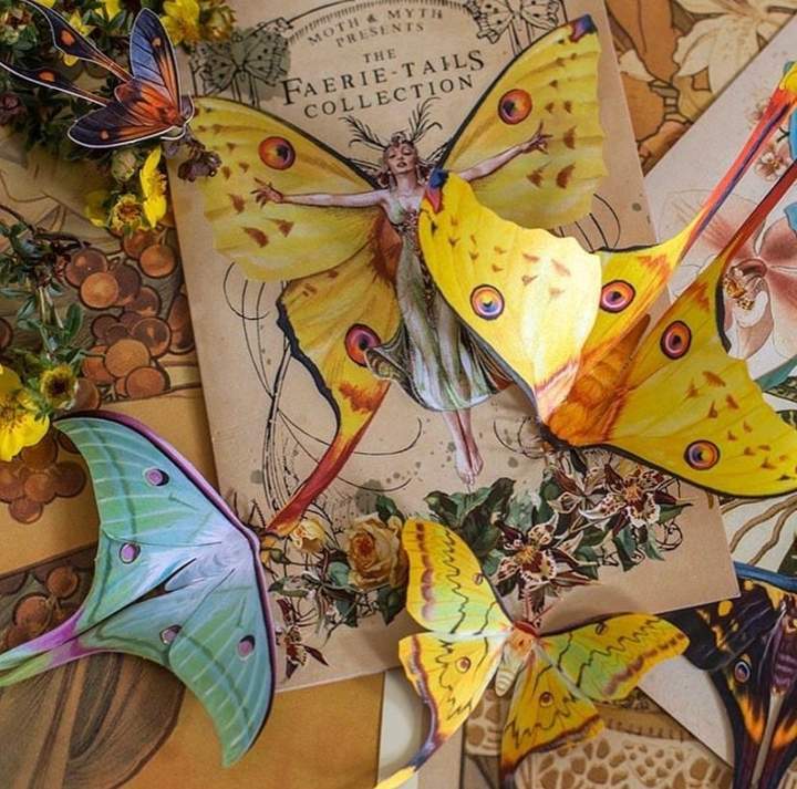 Faerie-Tails Butterfly Set 童話