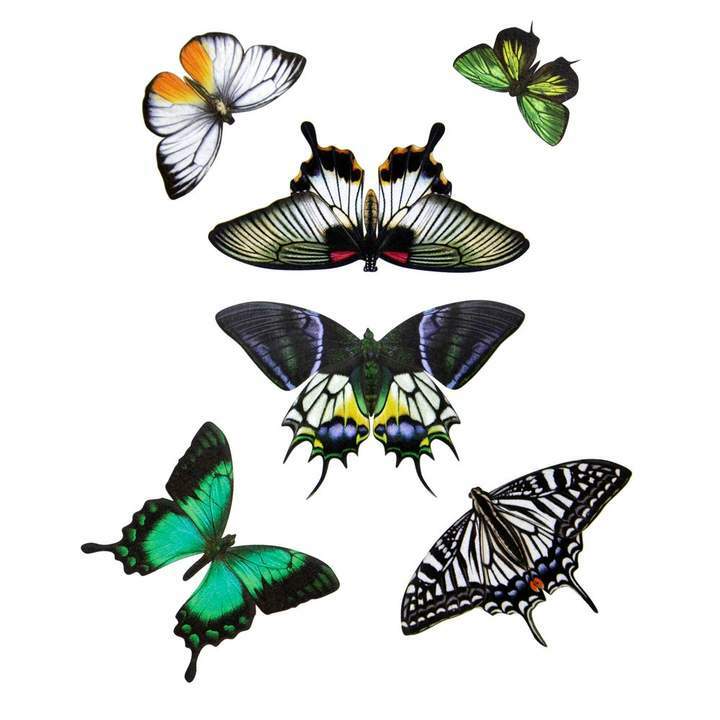 Emerald Butterfly Set 祖母綠