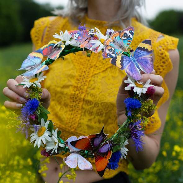 Dawn Butterfly Set 黎明