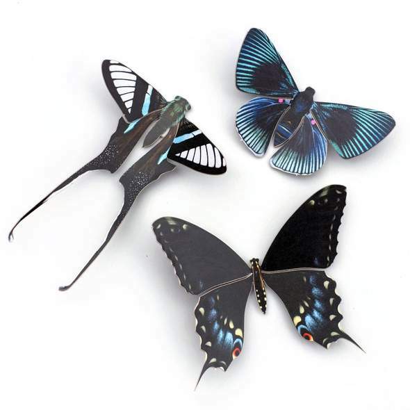 Midnight Butterfly Set 午夜