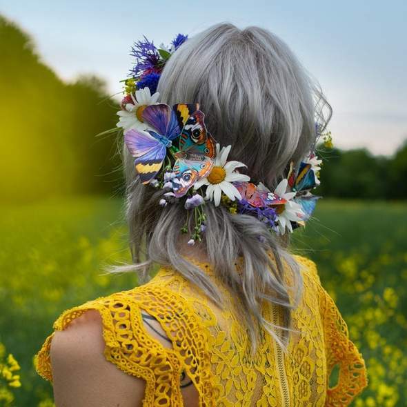 Sunrise Butterfly Set 日出