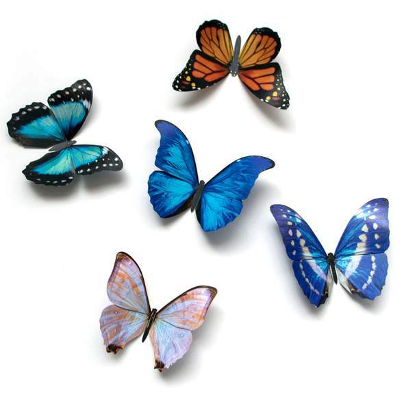 Morphos and Monarch Butterfly Set 帝王蝶閃蝶