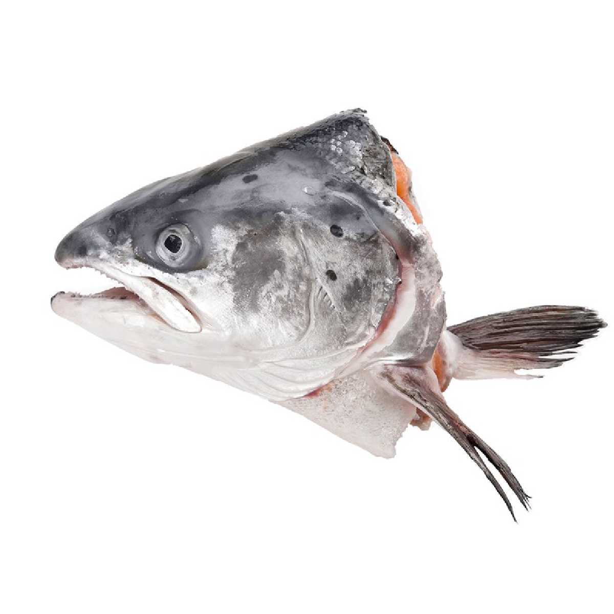 挪威三文魚頭 (開半) 約300-400g