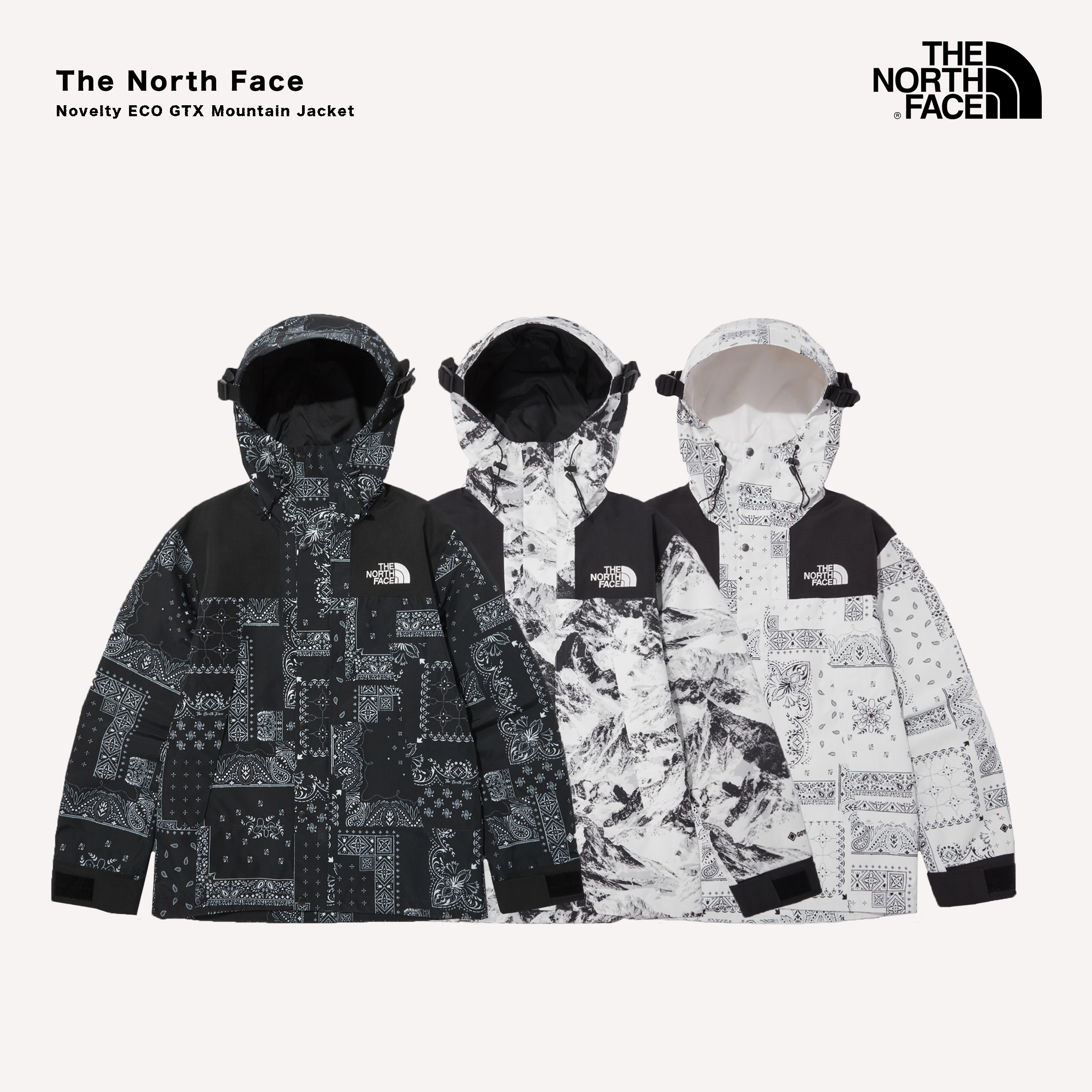 NORTH FACE NOVELTY GTX MOUNTAIN JACKET-