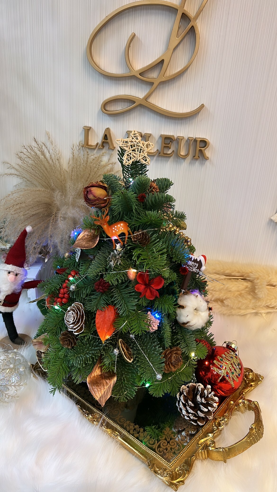 期間限定💢現貨訂購🎄Noble Fir貴族松聖誕樹 (Est. 26cm x 26cm x 40cm )