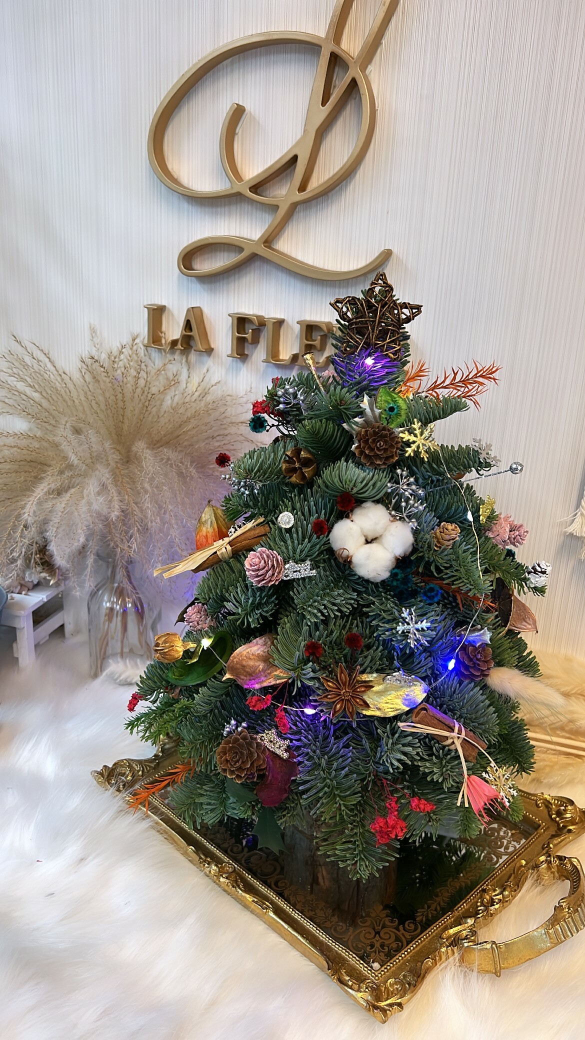 期間限定💢現貨訂購🎄Noble Fir貴族松聖誕樹 (Est. 26cm x 26cm x 40cm )