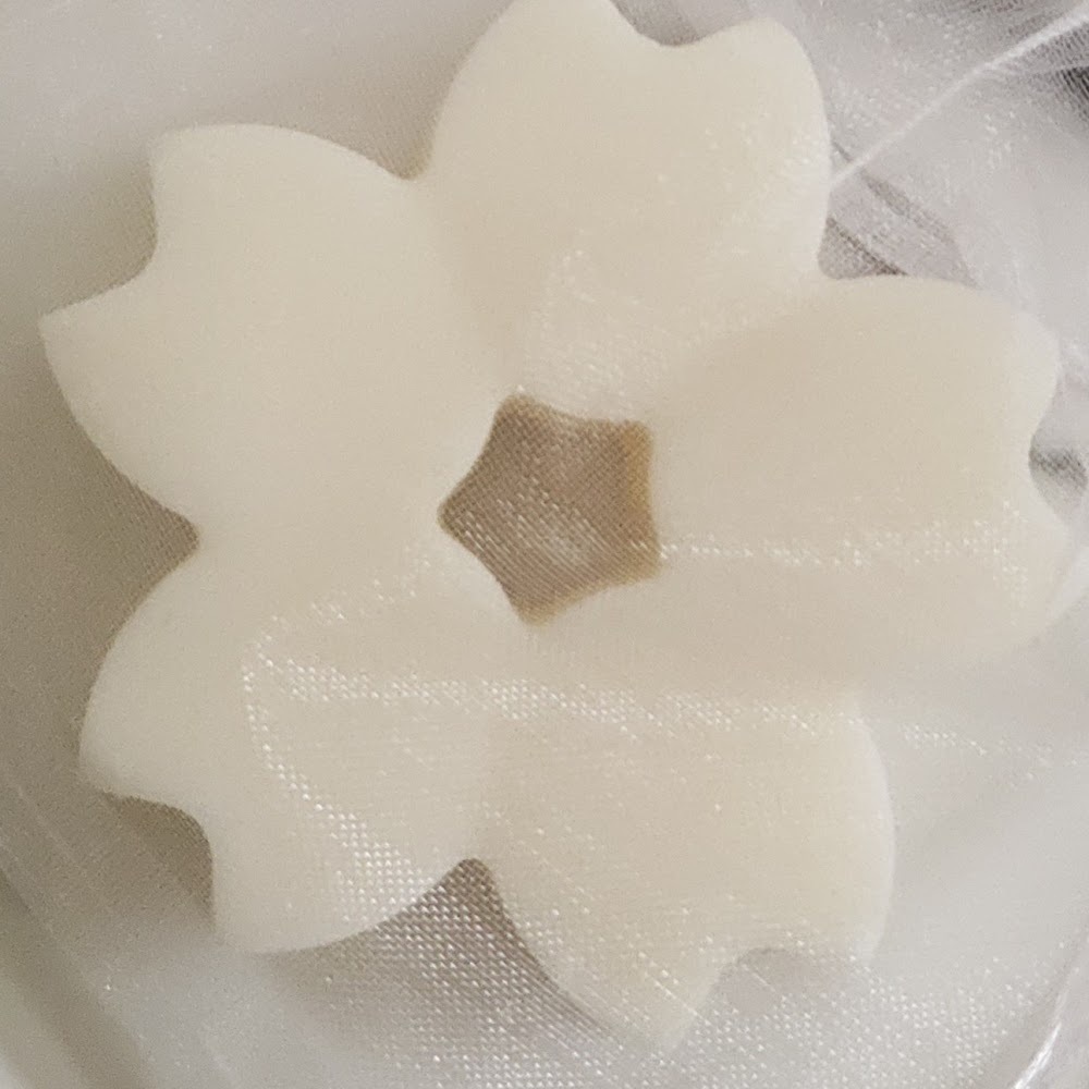 抗登革熱防蚊工作坊