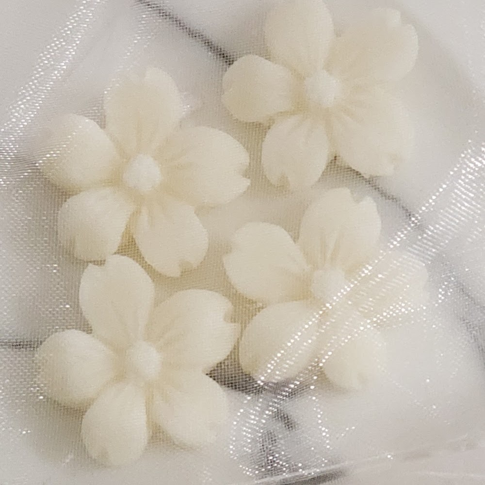 抗登革熱防蚊工作坊
