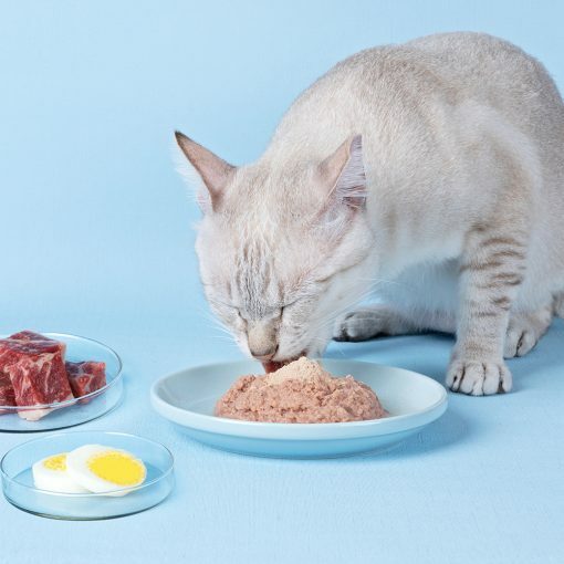 台灣【LitoMON 怪獸部落】OK！元氣鐵（1.5G×30包）