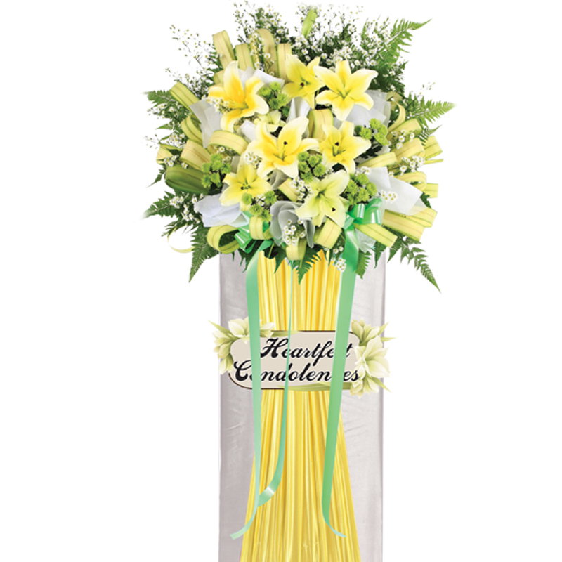 H61⭐⭐⭐⭐⭐member discount